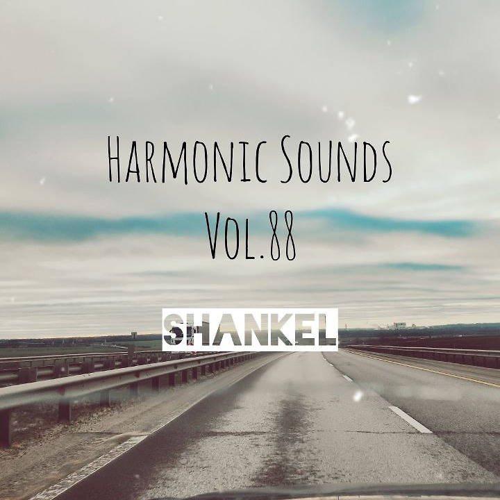 DJ.ru Микс: Shankel — Harmonic Sounds. Vol.88 episode artwork
