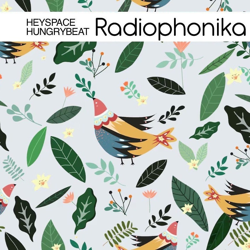 DJ.ru Радио-шоу: HungryBeat — HeySpace & HungryBeat - Radiophonika #218 episode artwork