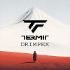 Dj Termit - Drimpex (Vocal House mix)