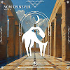 Now or Never (Original Mix)