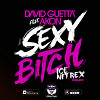 David Guetta Feat. Akon - Sexy Bitch (Ice & Nitrex Remix)