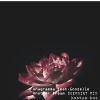Anagramma feat. Goozelle - Another Dream (Mix Edit)