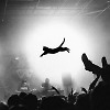 puma just do it mix ( air - mix )