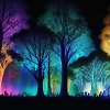 RAVE HAND 3.4 LIVE