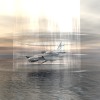 Celestial Voyage