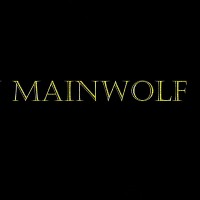 Electro house mix Mainwolf