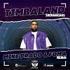 Timbaland - Shenanigans (Mike Prado & Foma)(Radio Edit)