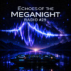 Echoes of the MegaNight RADIO #29