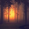 Solyanka FM - Neurodrum