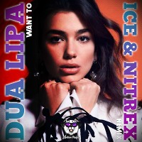 Dua Lipa - Want To (Ice & Nitrex Radio Edit)