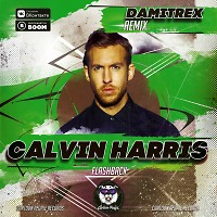 Calvin Harris - Flashback (Damitrex Remix) Radio Edit