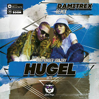 HUGEL feat. Amber van Day - WTF (Damitrex Remix) Radio Edit