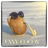 Syntheticsax - Funny coconut