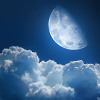 Around The Moon