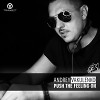Andrey Vakulenko - Push The Feeling On