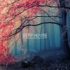 DJ SILENT - DEEP HOUSE LIVE MIX FEBRUARY 2019