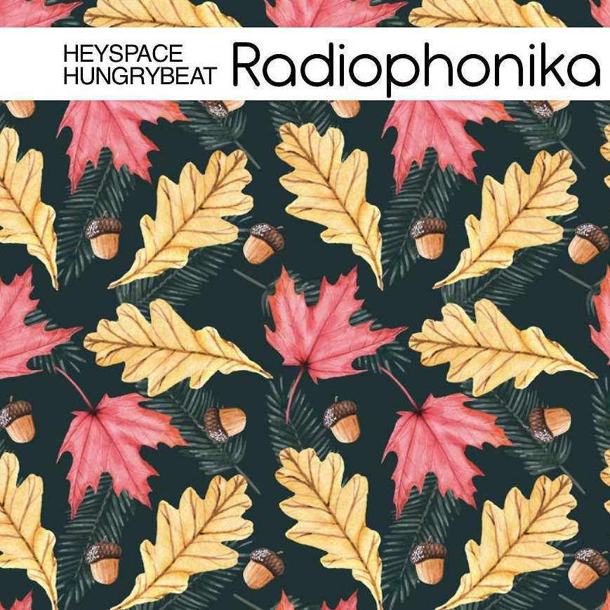 DJ.ru Радио-шоу: HungryBeat — Heyspace & HungryBeat - Radiophonika #190 episode artwork
