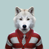 Mr Wolf