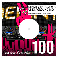 I House You 100 - Underground Mix