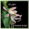 Principles of Life (part I)