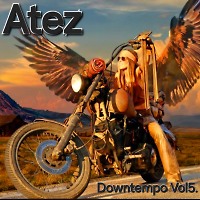 Downtempo Vol 5.