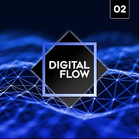 Digital Flow #02