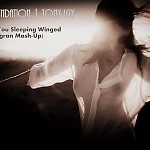 Blue Foundation Tony Igy – Watch You Sleeping Winged(DJ Tigran Mash-Up 2014)