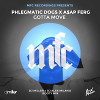 Phlegmatic Dogs x A$AP Ferg - Gotta Move (DJ Miller x DJ Alex Milano Bootymix)