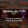 Tribal Glitch @ Psyland 2018