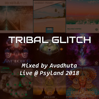 Tribal Glitch @ Psyland 2018