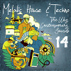 Melodic House & Techno 14