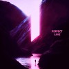 PERFECT LOVE