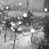 Winter in my town