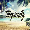 PINA COLADA TROPICAL VASYLYCH MIX mart 2017(exelusive for dj.ru)