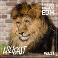 Will Fast - Podcast Lion Music Vol.11 [STOCKHOLM]