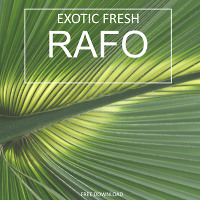 RAFO - Exotic Fresh (Original Mix)