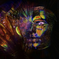 The Connoisseur - episode #2