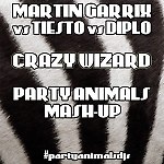 Martin Garrix vs. Tiesto vs. Diplo - Crazy Wizard (Party Animals Mash-Up)