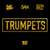 Sak Noel  Salvi Ft. Sean Paul - Trumpets (Extended Mix)