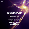 DJ LIYA – DEEP4VIP #008