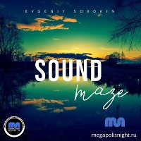 Evgeniy Sorokin - Sound Maze 055