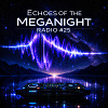 Echoes of the MegaNight RADIO #25