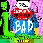 David Guetta & Showtek feat.Vassy vs.Tom Tyger & Ahzee - BAD (Mary Enjoy & Dj IvA XL Mash Up)
