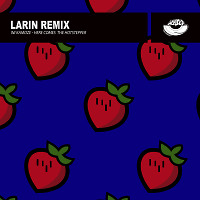 Ini Kamoze - Here Comes the Hotstepper (Larin Remix) [MOUSE-P]