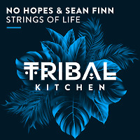 No Hopes & Sean Finn - Strings of Life