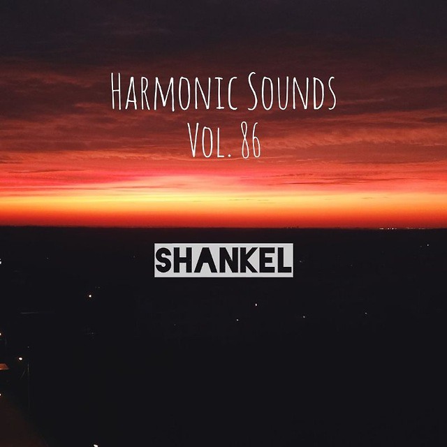 DJ.ru Микс: Shankel — Harmonic Sounds. Vol.86 episode artwork