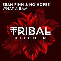 Sean Finn & No Hopes - What A Bam (Radio Edit)