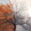 winter echo mix ( air - mix )