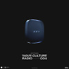 Wave Culture Radio #004