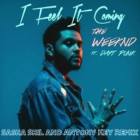 The Weeknd - I Feel It Coming (Sasha ShiL and Antony key Remix)